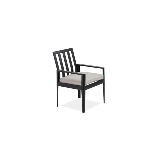 Serene-Arm-Dining-Chair—Textured-Black—Cast-Silver—IMG_7403-